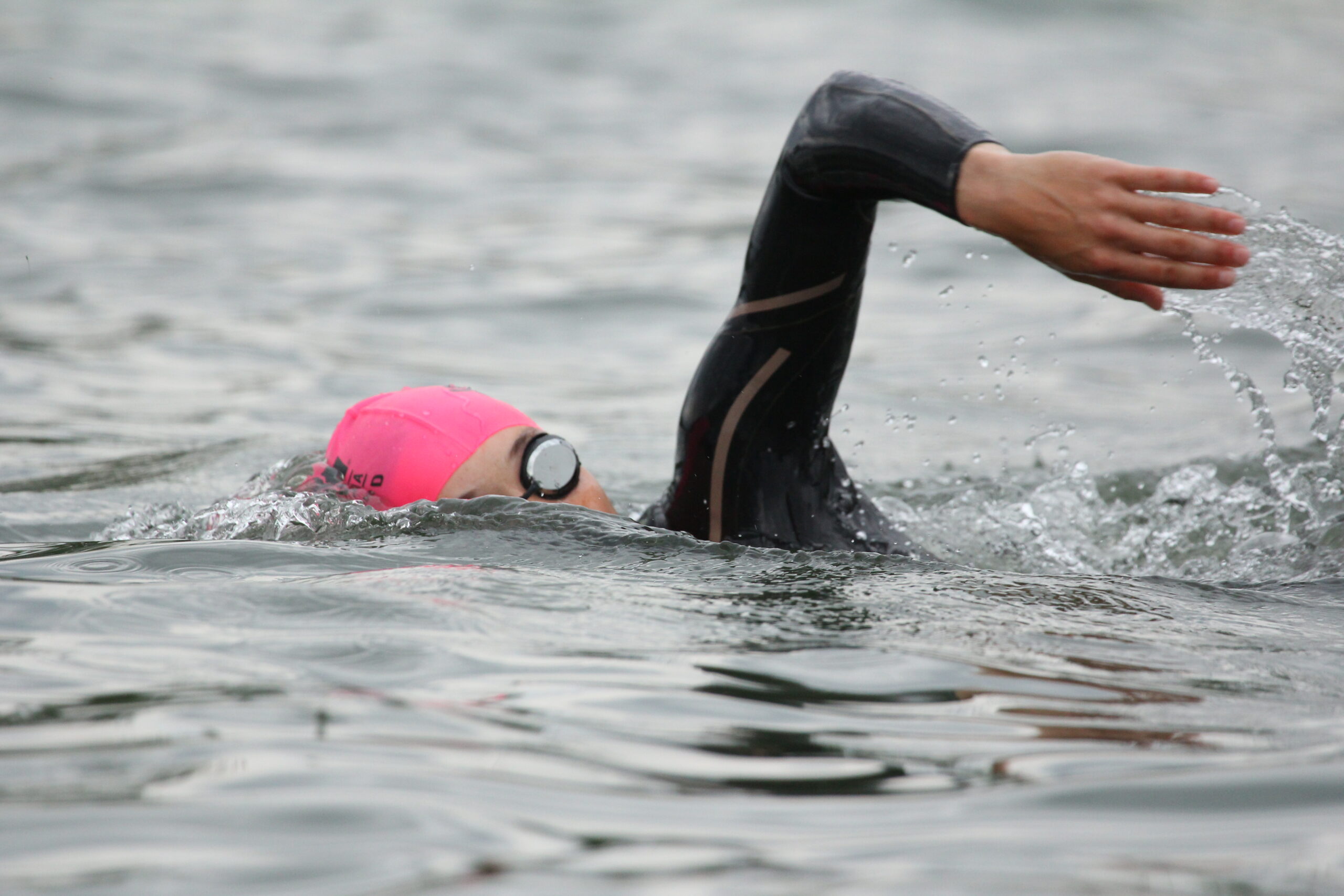 Open Water Schwimmen Zürich
